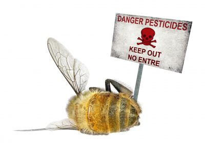 Vote de la loi sur les néonicotinoïdes