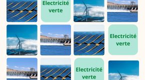 Les ménages en France et les offres proposant de l’électricité verte. Quelques éléments de réponse à ces questions.