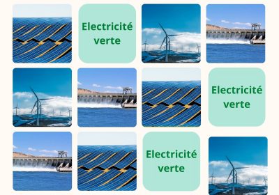 Les ménages en France et les offres proposant de l’électricité verte. Quelques éléments de réponse à ces questions.
