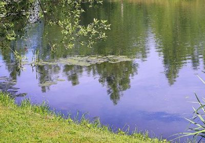 VRAIE OU FAUSSE BONNE NOUVELLE ?