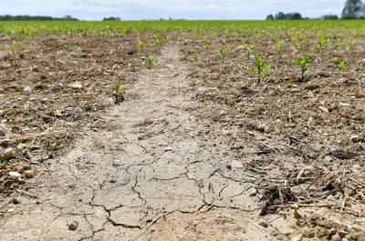 SECHERESSE : LES QUELQUES PLUIES DE CES DERNIERS JOURS NE CHANGENT RIEN A LA SITUATION TRES PREOCCUPANTE DU DEPARTEMENT